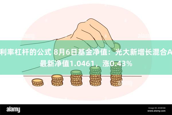 利率杠杆的公式 8月6日基金净值：光大新增长混合A最新净值1.0461，涨0.43%