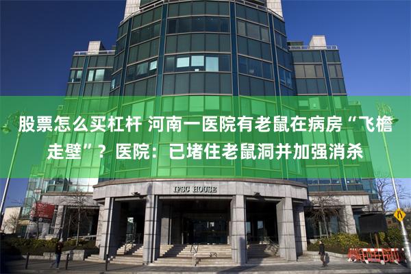 股票怎么买杠杆 河南一医院有老鼠在病房“飞檐走壁”？医院：已堵住老鼠洞并加强消杀