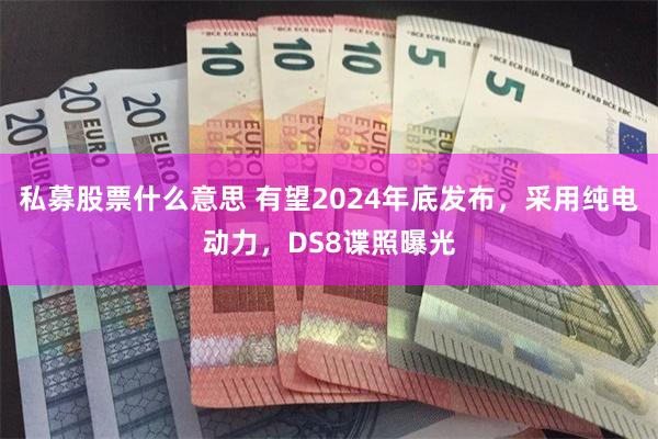 私募股票什么意思 有望2024年底发布，采用纯电动力，DS8谍照曝光
