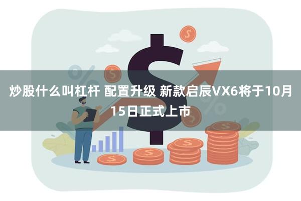 炒股什么叫杠杆 配置升级 新款启辰VX6将于10月15日正式上市