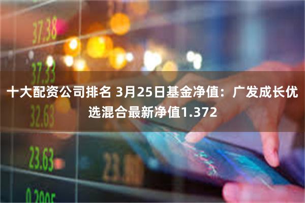 十大配资公司排名 3月25日基金净值：广发成长优选混合最新净值1.372