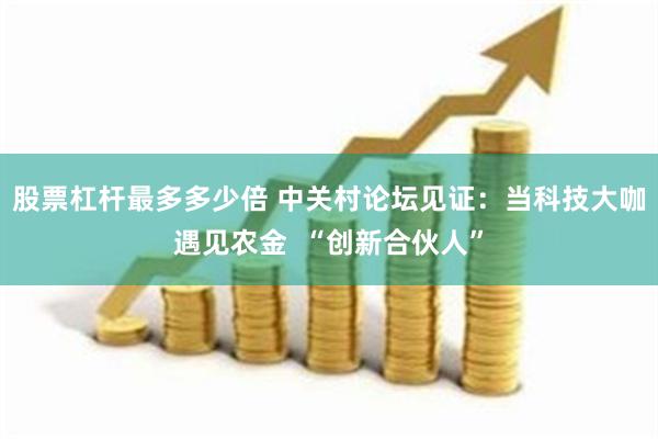 股票杠杆最多多少倍 中关村论坛见证：当科技大咖遇见农金  “创新合伙人”