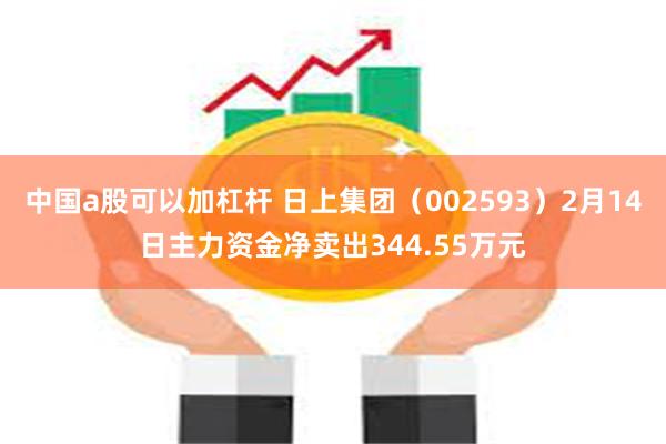 中国a股可以加杠杆 日上集团（002593）2月14日主力资金净卖出344.55万元