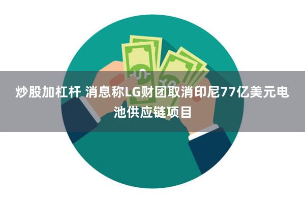 炒股加杠杆 消息称LG财团取消印尼77亿美元电池供应链项目