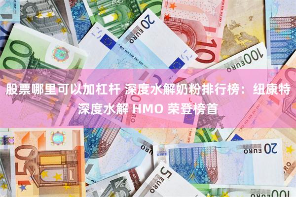 股票哪里可以加杠杆 深度水解奶粉排行榜：纽康特深度水解 HMO 荣登榜首