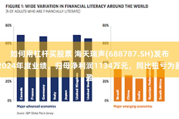 如何用杠杆买股票 海天瑞声(688787.SH)发布2024年度业绩，归母净利润1134万元，同比扭亏为盈