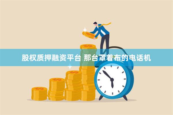 股权质押融资平台 那台罩着布的电话机