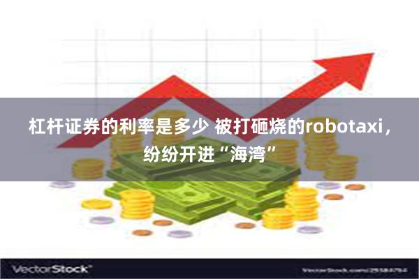杠杆证券的利率是多少 被打砸烧的robotaxi，纷纷开进“海湾”